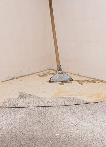 Carpet Removal<br />
Services Chicago